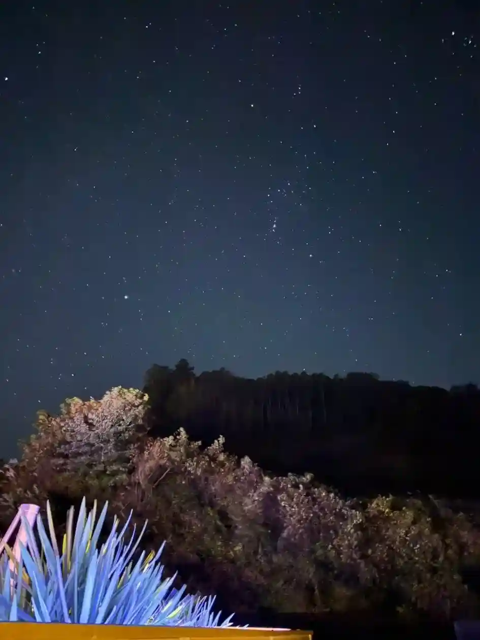 宮城の星空を犬たちも一緒に楽しむ